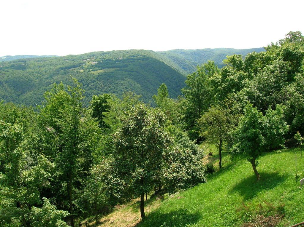 B&B Il Suono Del Bosco Arcugnano Exterior photo